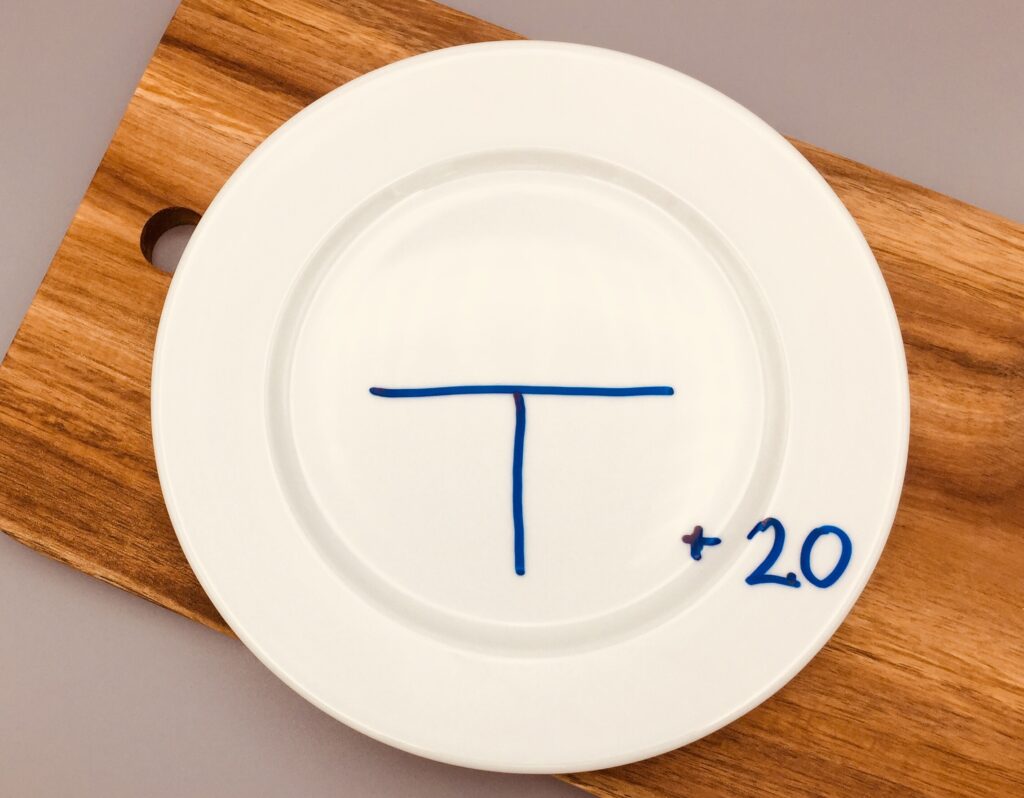 t-tallerkenmodellen+20